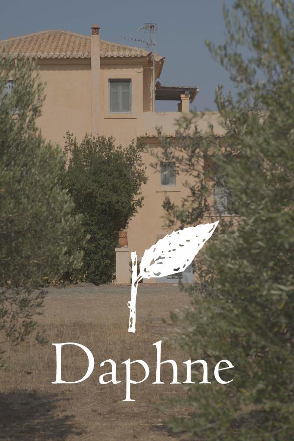 埃尔米奥尼Daphne别墅 外观 照片